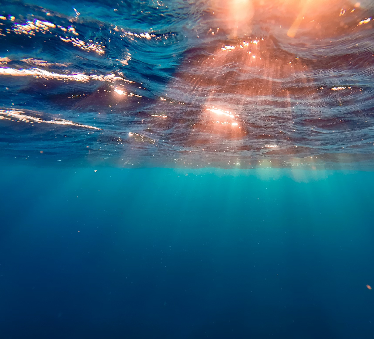 工厂屋顶分布式光伏项目