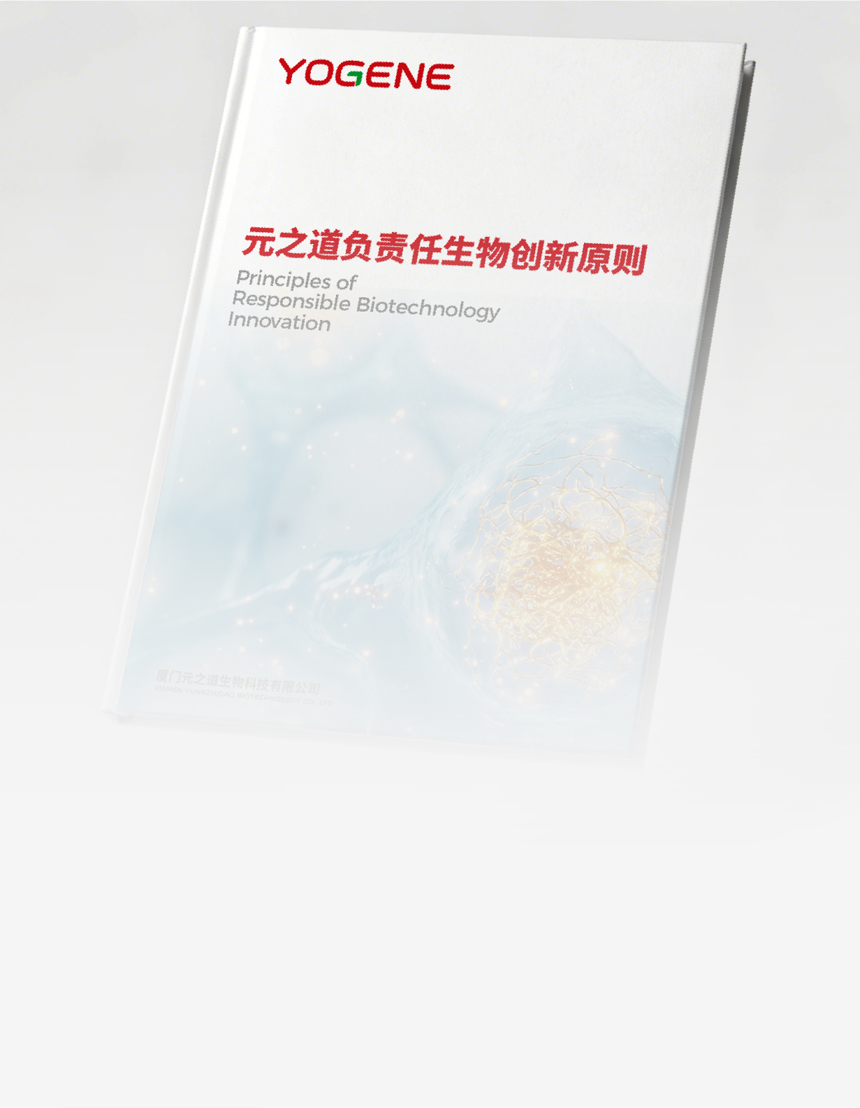 工厂屋顶分布式光伏项目