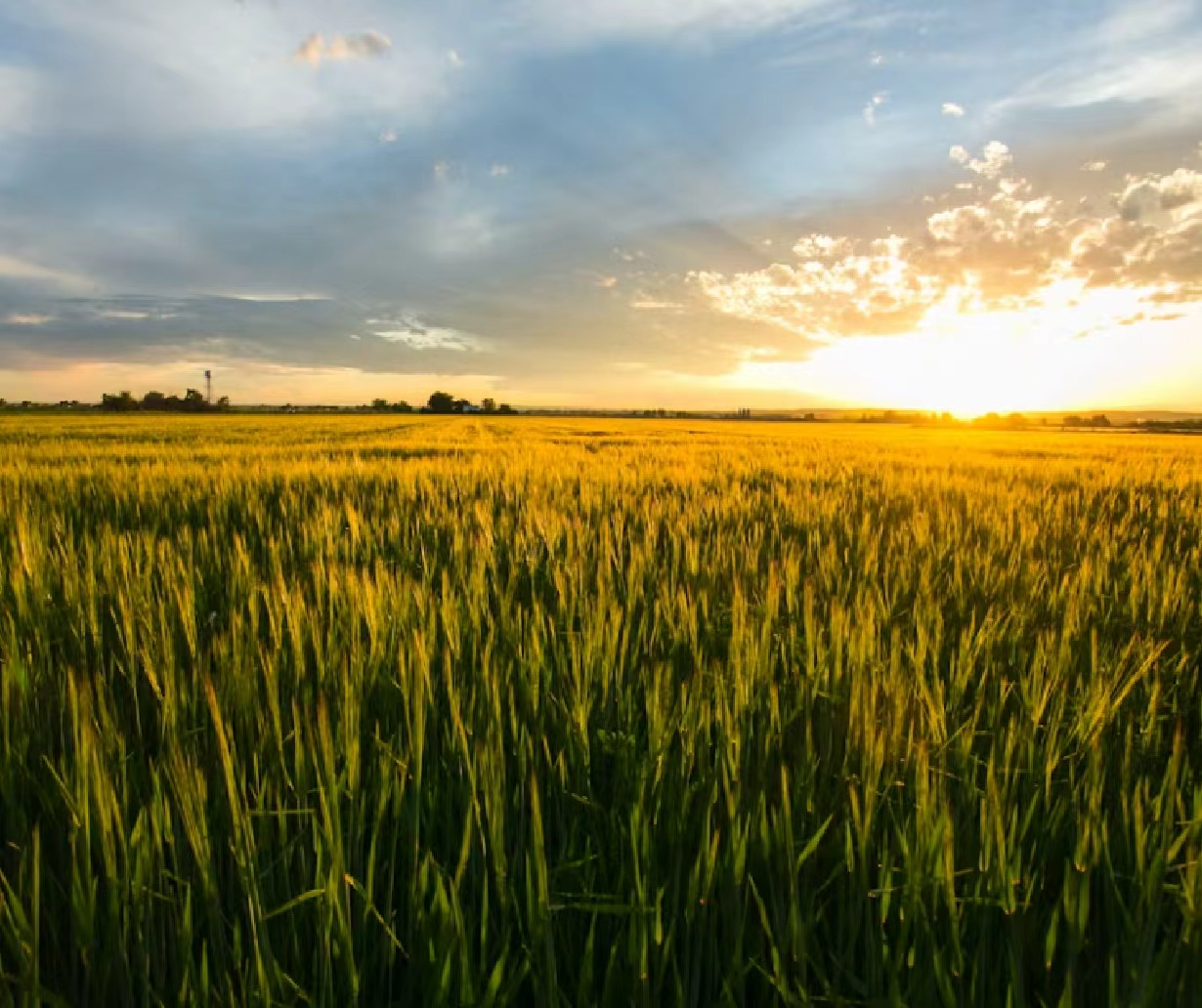 工厂屋顶分布式光伏项目
